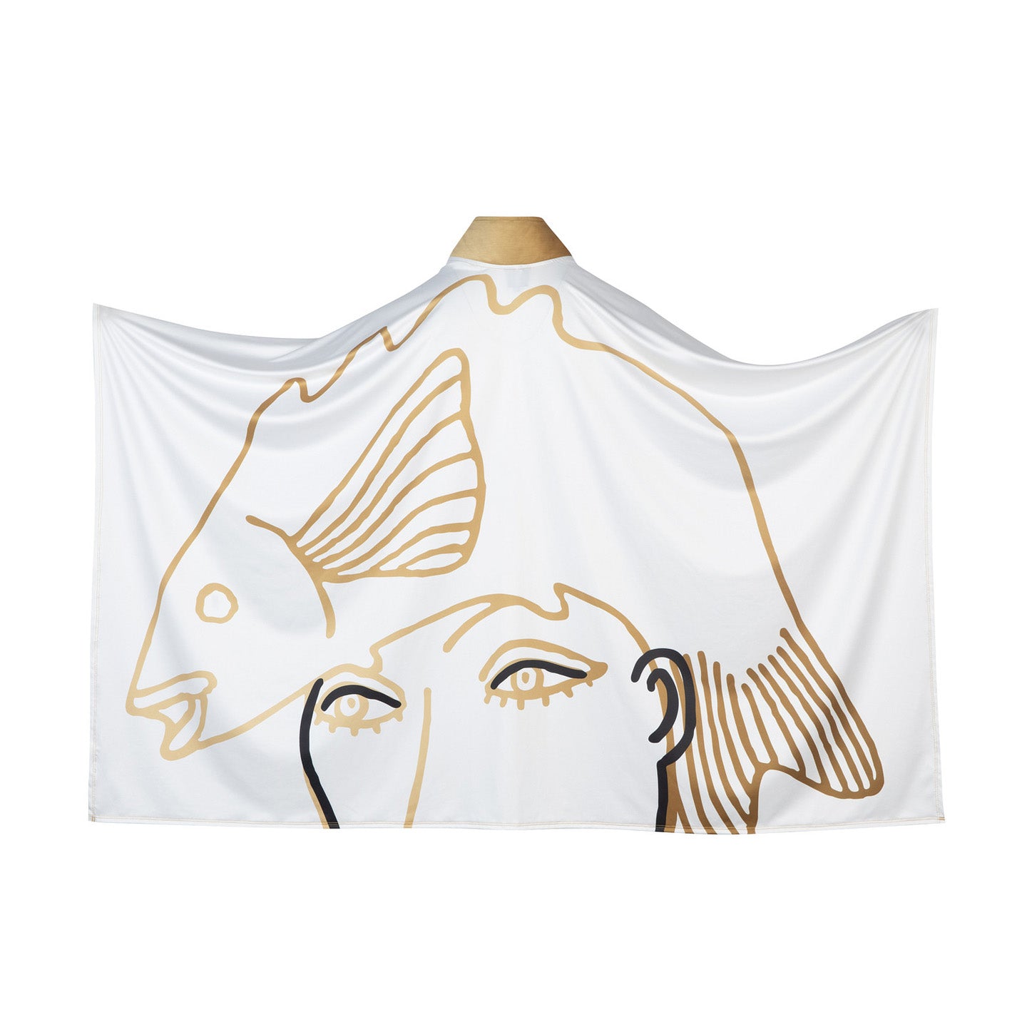 Leon Hushcha Poncho